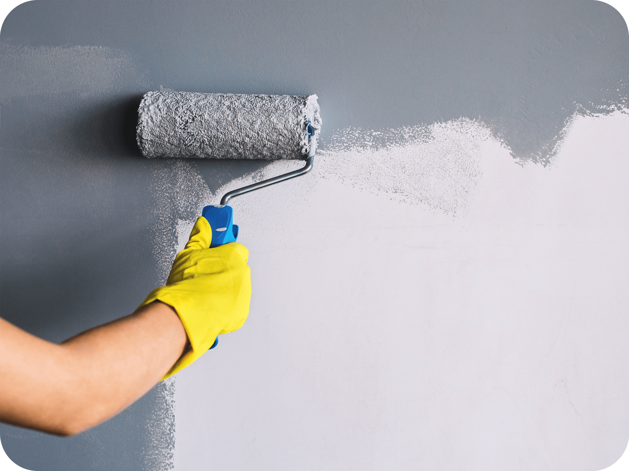Expert Interior Painting Services